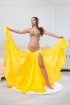 Professional bellydance costume (Classic 276 A_1)